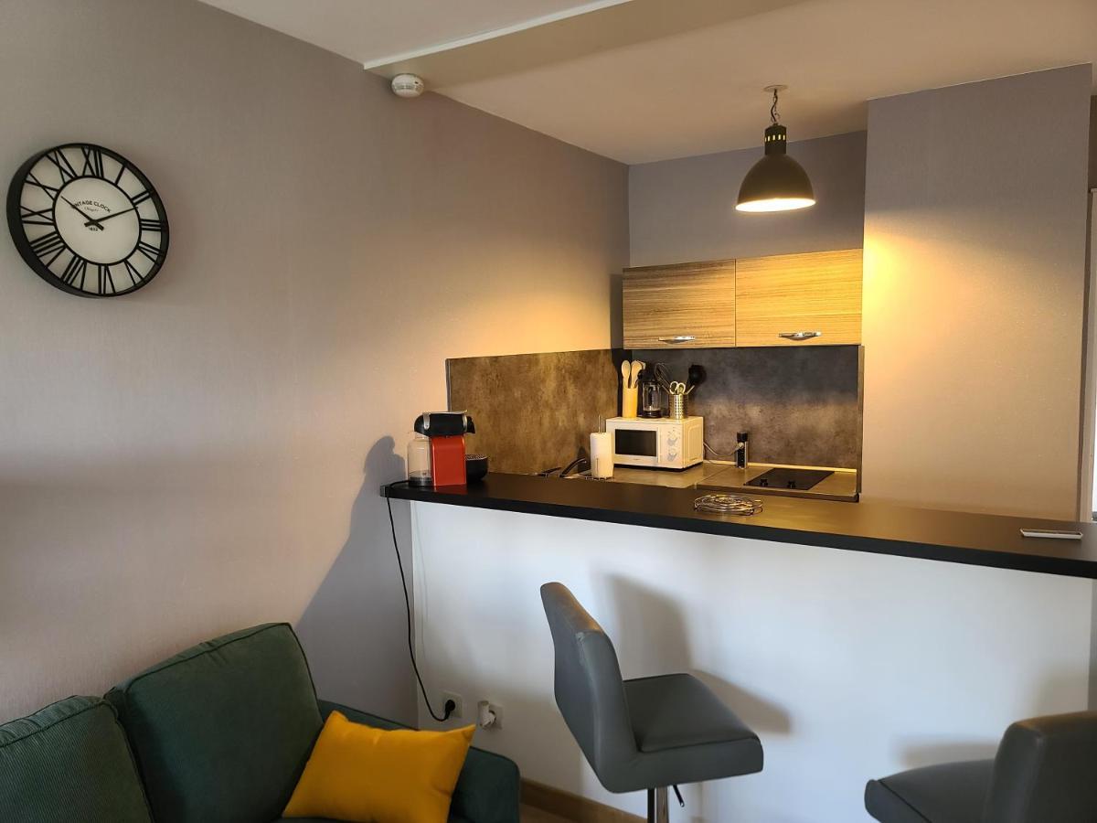 Magnifique Studio 26M2 Belfort Exterior foto