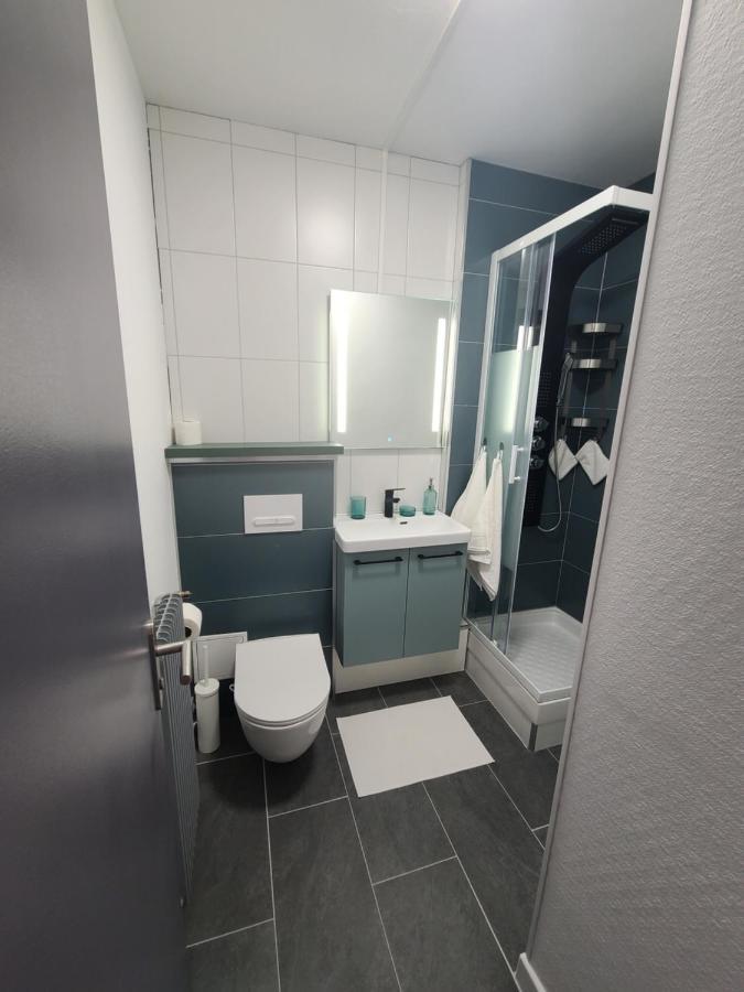 Magnifique Studio 26M2 Belfort Exterior foto